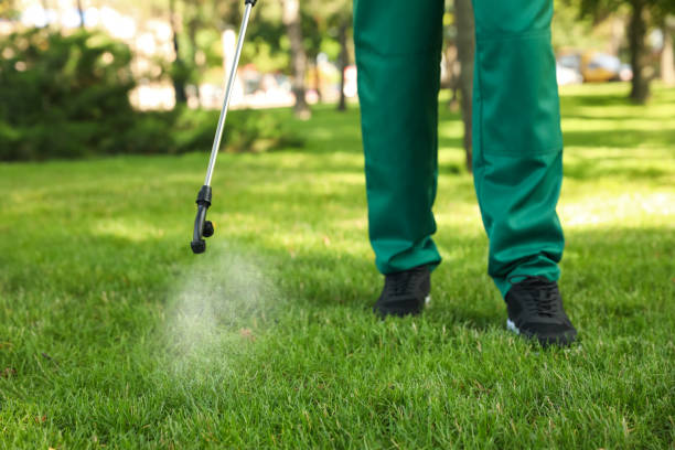 Best Affordable Pest Control Services  in Aquebogue, NY