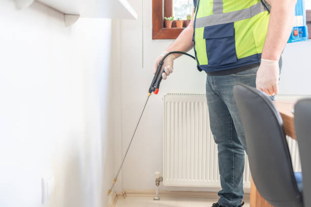 Best Affordable Pest Control Services  in Aquebogue, NY